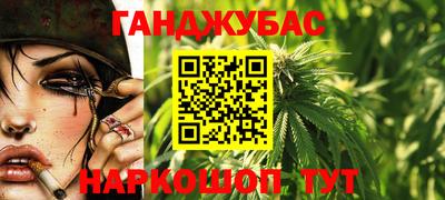 индика Пенза