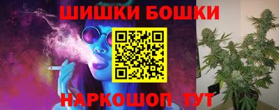 индика Пенза