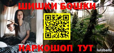 индика Пенза
