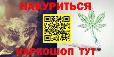 индика Пенза