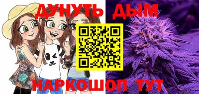 индика Пенза