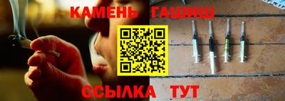 индика Пенза
