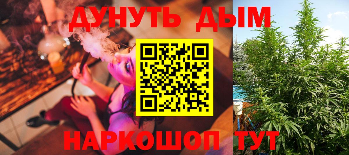 Шишки марихуана MAZAR  МАРИХУАНА ГИДРОПОН  Вход с VPN  Советск  Каннабис VHQ 